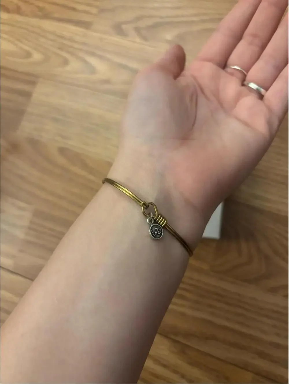 Luca + Danni Dylan Bangle Gold Wire Bracelet with Red Crystal Bead